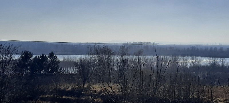 Plac sa pogledom na Dunav Belegis 1