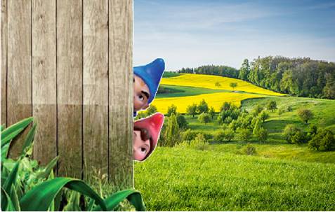 Seosko domaćinstvo kod Kosmaja 1