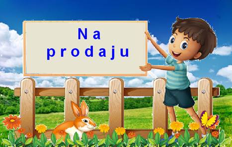 Gradjevinsko zemljište pod Kosmajem 1