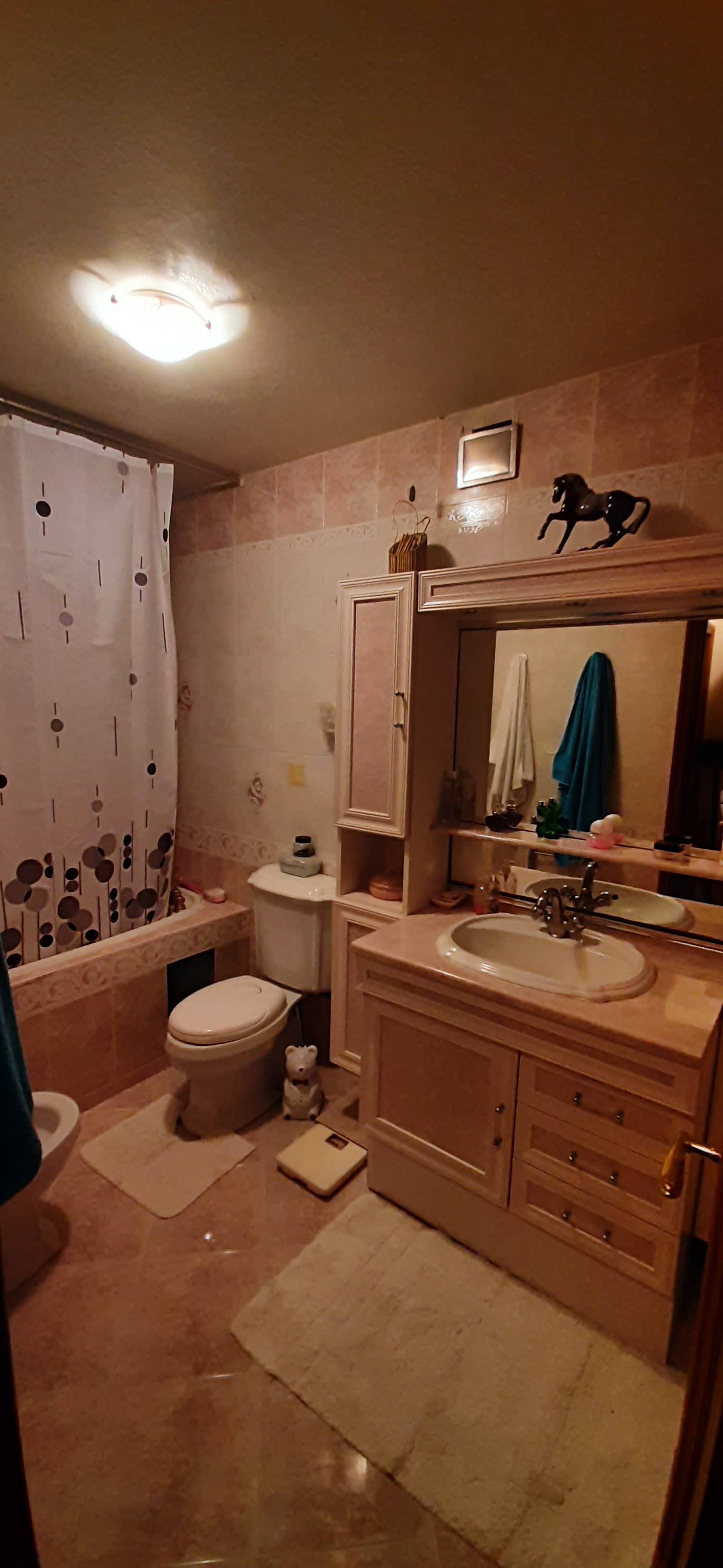 Lux kuća u Šumadiji 5