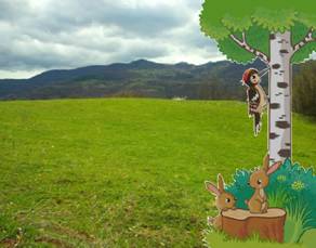 Zemljište na padini Kosmaja 1