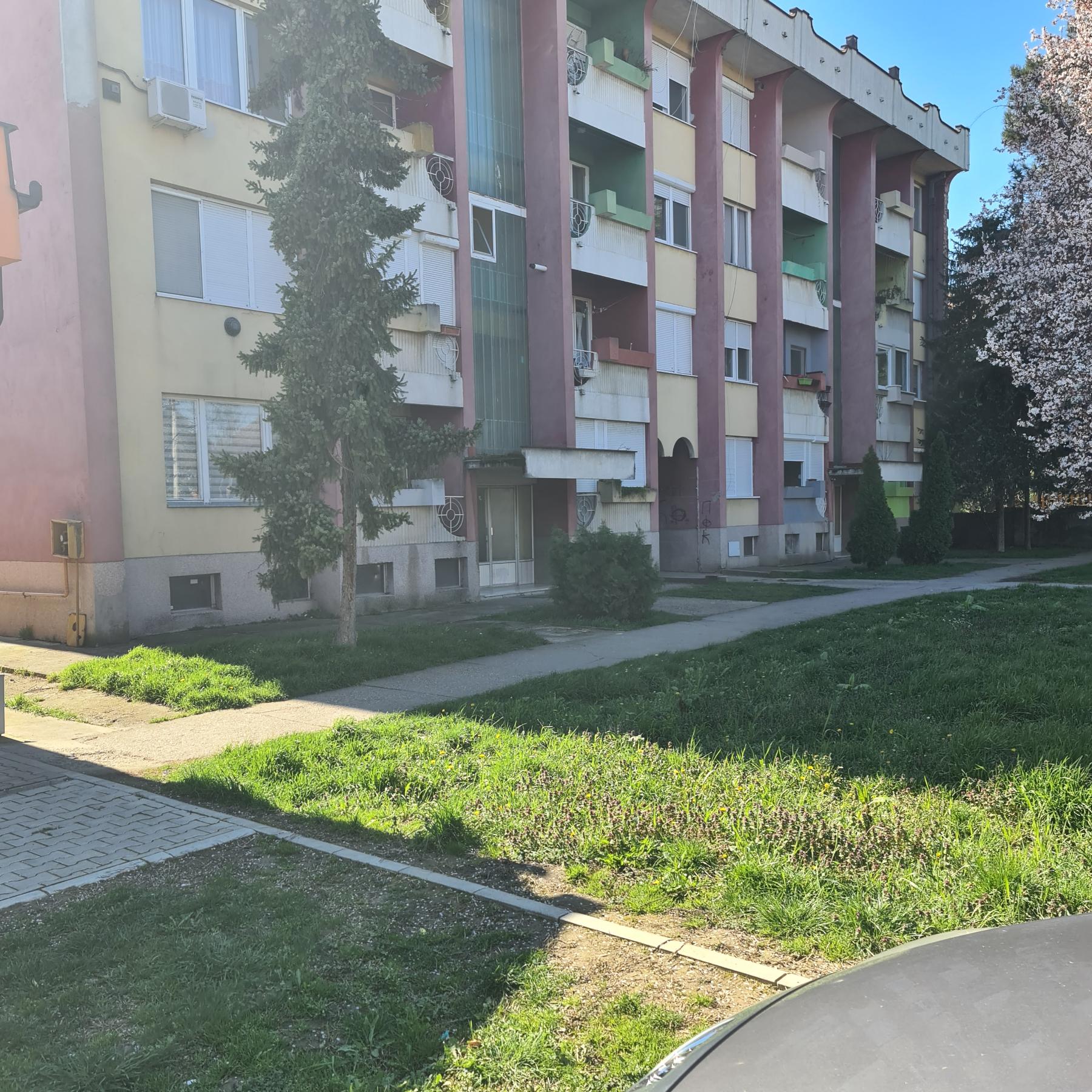 ČELAREVO UKNJIZEN RENOVIRAN STAN 31500E 4