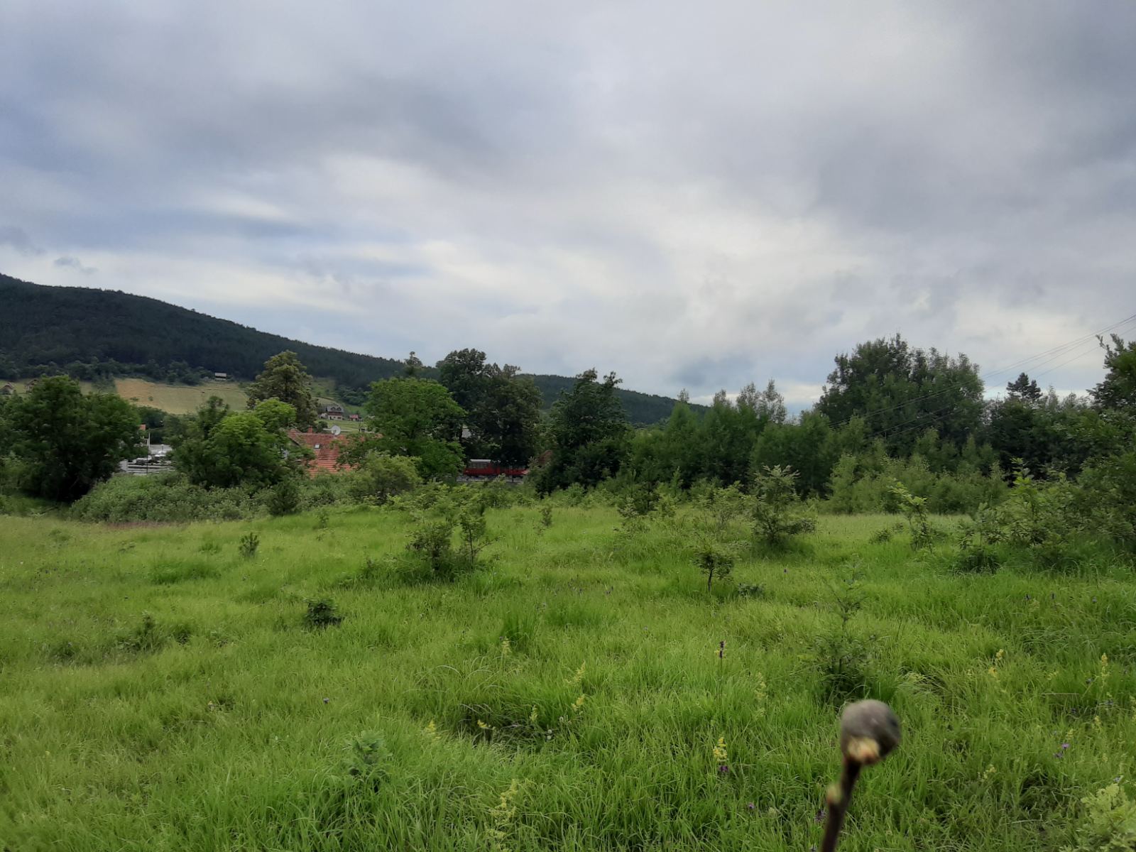 Sarganska osmica zeleznicka stanica 3