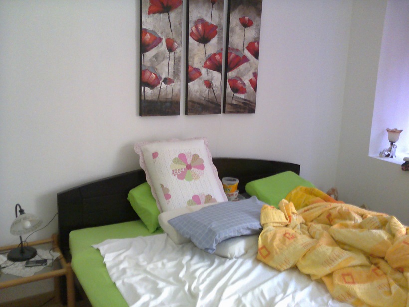 Cerevic kompletno namestena odlicna kuca odmah useljiva 4