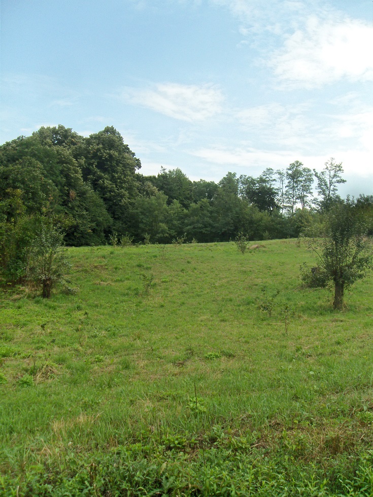 Prodajem placeve Loznica Klupci 3