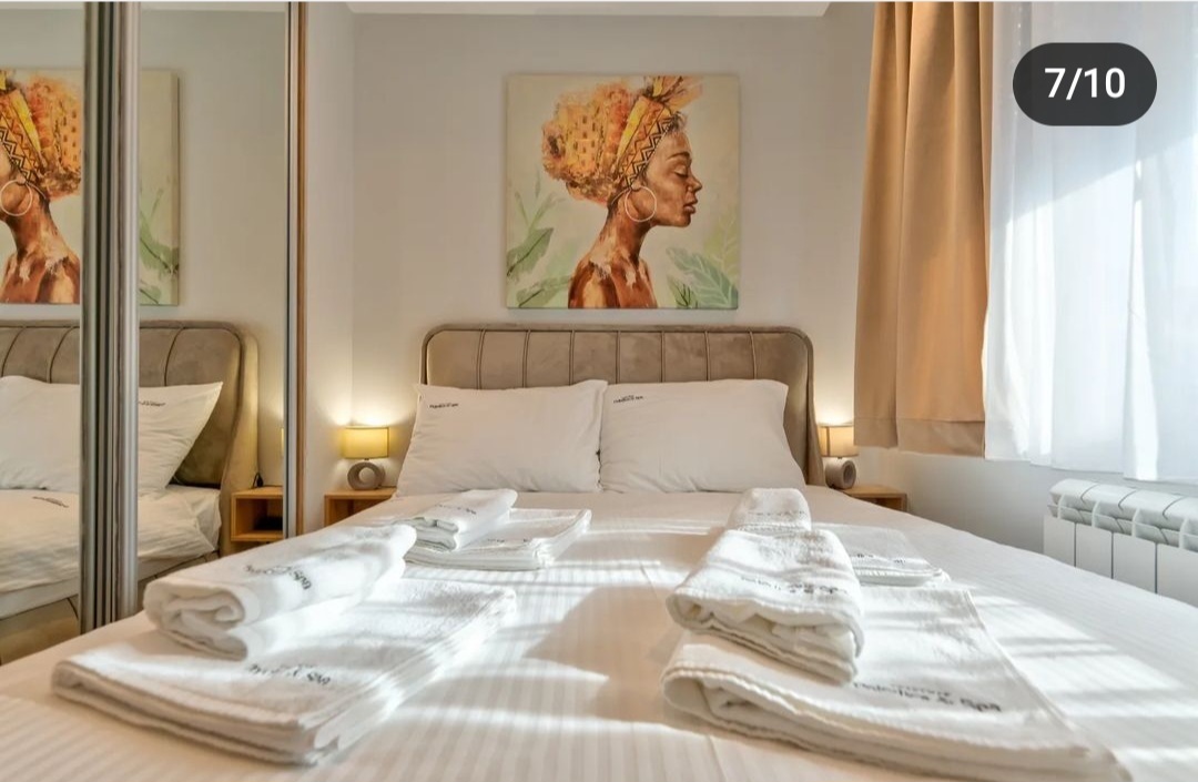 STROGI CENTAR ZLATIBORA NASELJE KALMAN PRODAJA APARTMANA 3