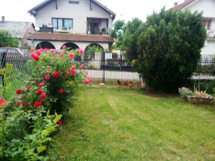 Kuća na prodaju   Svilajnac  Centar 6