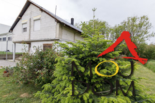 Kuca,PETROVARADIN,BUKOVAČKI DO,kv: 138, € 288400, ID: 3003476 9