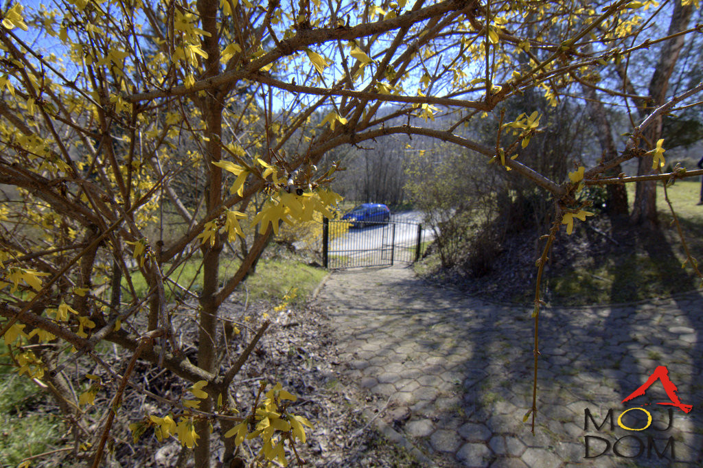 Kuca,RAKOVAC,RAKOVAC,kv: 220, € 195700, ID: 3003193 4