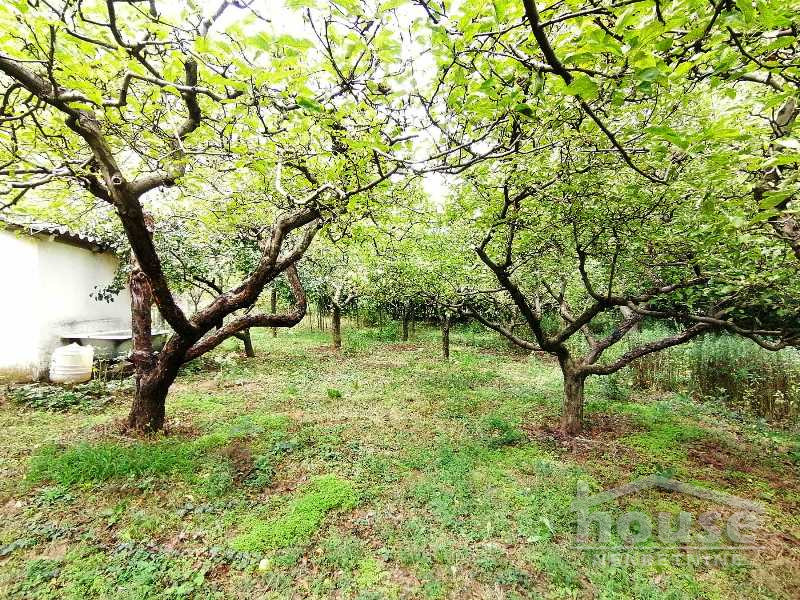 Kuca,BANSTOL,ČORTANOVCI65m2,108150€ , ID: 3045472 22