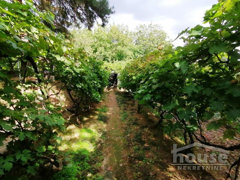 Kuca,BANSTOL,ČORTANOVCI65m2,108150€ , ID: 3045472 25