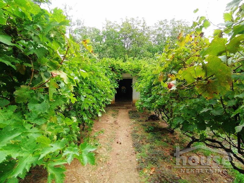 Kuca,BANSTOL,ČORTANOVCI65m2,108150€ , ID: 3045472 21