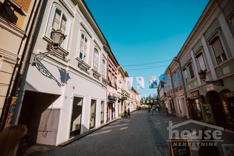 Kuca,NOVI SAD,CENTAR549m2,1100000€ , ID: 3044852 43