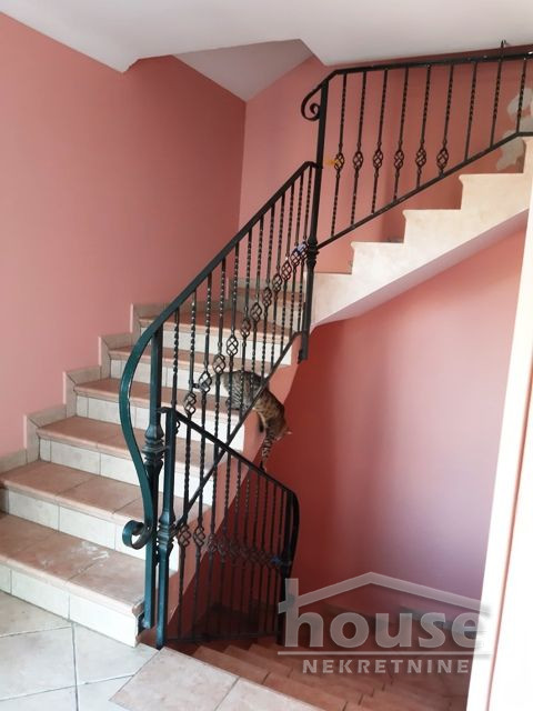 Kuca,NOVI SAD,TELEP240m2,360500€ , ID: 3044749 12