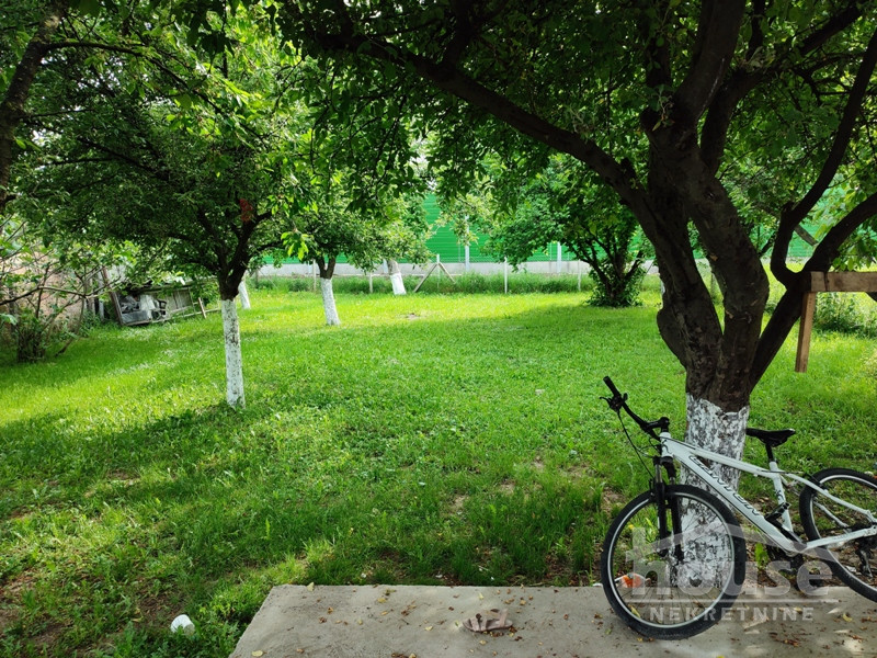 Kuca,PETROVARADIN,SADOVI81m2,109200€ , ID: 3045359 8