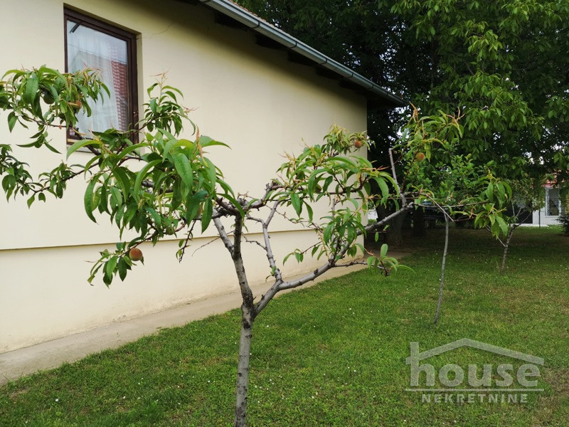 Kuca,SREMSKA KAMENICA,BOCKE156m2,220000€ , ID: 3045015 30