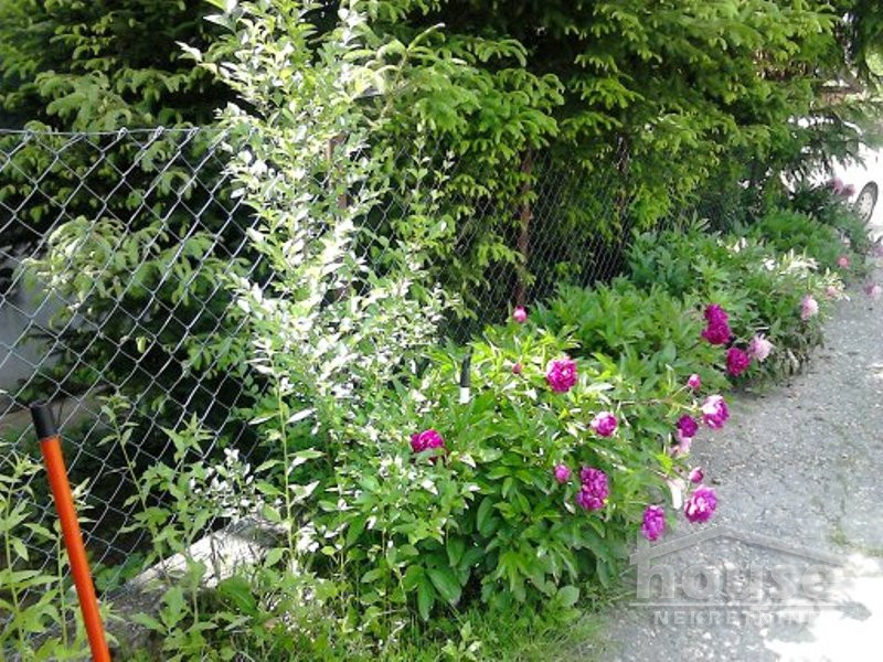 Kuca,SREMSKA KAMENICA,ČARDAK172m2,154500€ , ID: 3044830 14