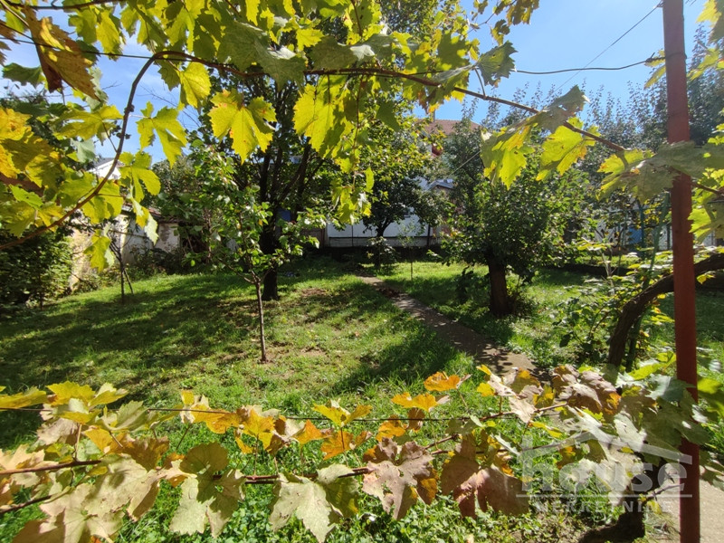 Kuca,SREMSKA KAMENICA,CENTAR380m2,257500€ , ID: 3045429 30