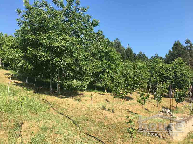 Kuca,SREMSKA KAMENICA,LIVADE141m2,123600€ , ID: 3045030 11