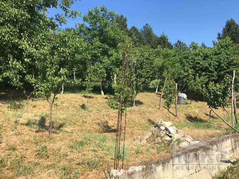 Kuca,SREMSKA KAMENICA,LIVADE141m2,123600€ , ID: 3045030 9