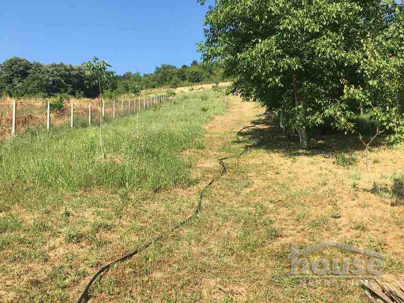 Kuca,SREMSKA KAMENICA,LIVADE141m2,123600€ , ID: 3045030 12