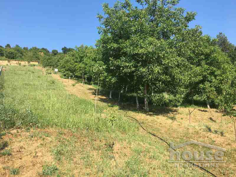 Kuca,SREMSKA KAMENICA,LIVADE141m2,123600€ , ID: 3045030 15