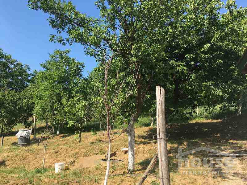 Kuca,SREMSKA KAMENICA,LIVADE141m2,123600€ , ID: 3045030 14