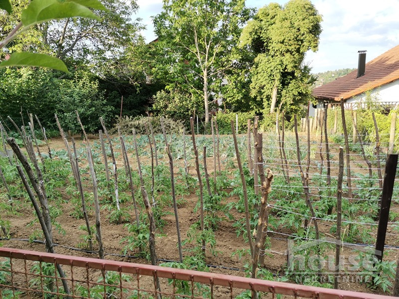 Kuca,SREMSKA KAMENICA,POPOVICA292m2,360500€ , ID: 3045031 14