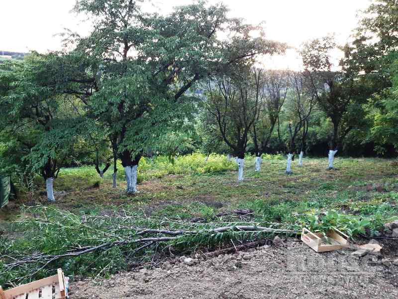 Kuca,VELIKA REMETA,FRUŠKA GORA29m2,75000€ , ID: 3045214 17