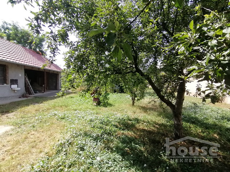 Kuca,ŽABALJ,CENTAR160m2,123600€ , ID: 3045454 20