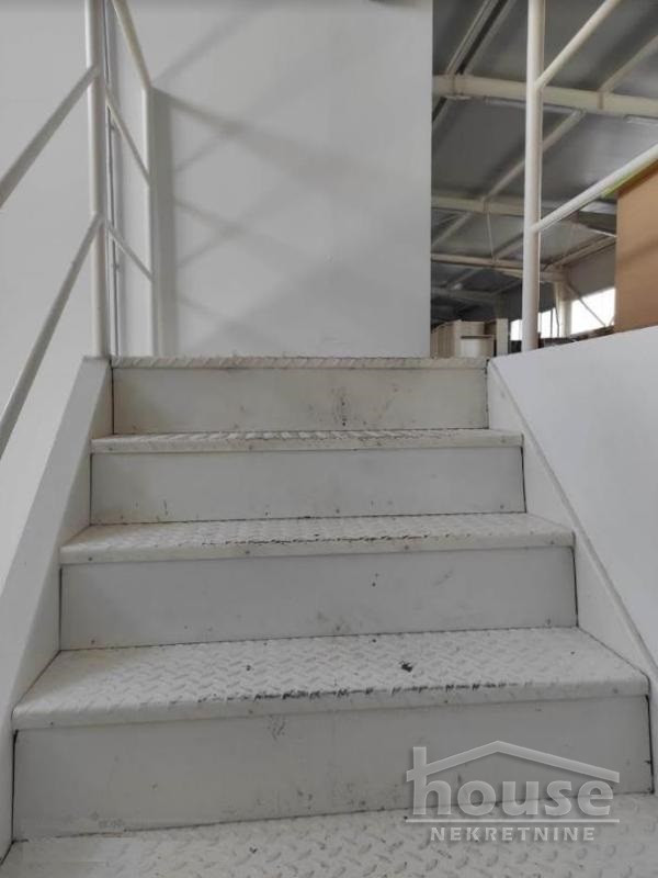 Lokal,BAČKI PETROVAC,CENTAR 1800m2,721000€ , ID: 8091602 16