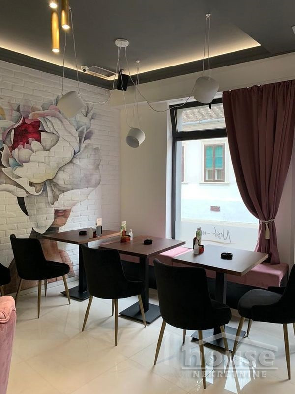 Lokal,SREMSKI KARLOVCI,CENTAR 250m2,260000€ , ID: 8091677 19