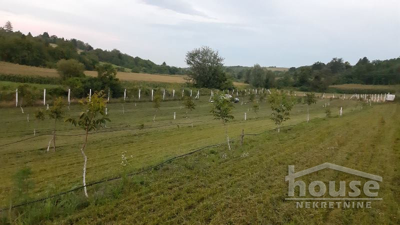 Plac,ČORTANOVCI,ČORTANOVCI9711m2,  72100€ , ID: 7080858 1