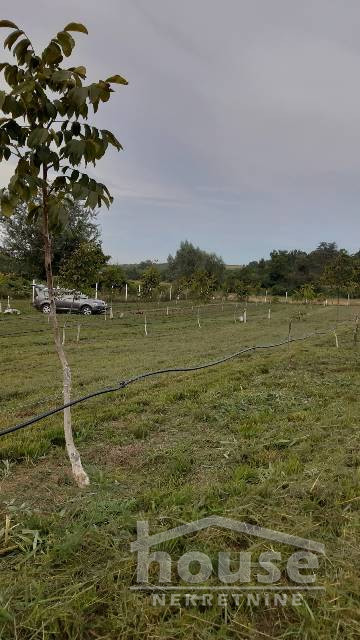 Plac,ČORTANOVCI,ČORTANOVCI9711m2,  72100€ , ID: 7080858 2