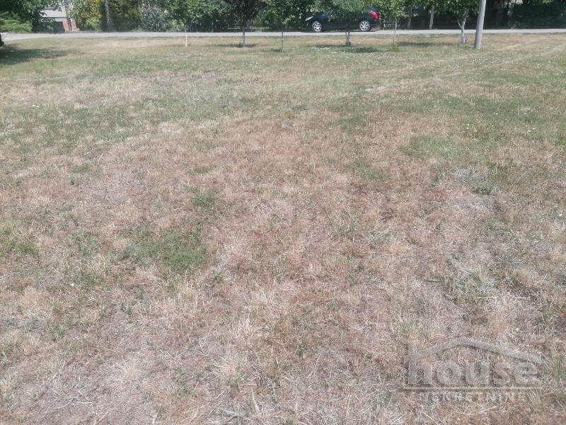 Plac,NOVI SAD,KLISA370m2,  61800€ , ID: 7080923 2