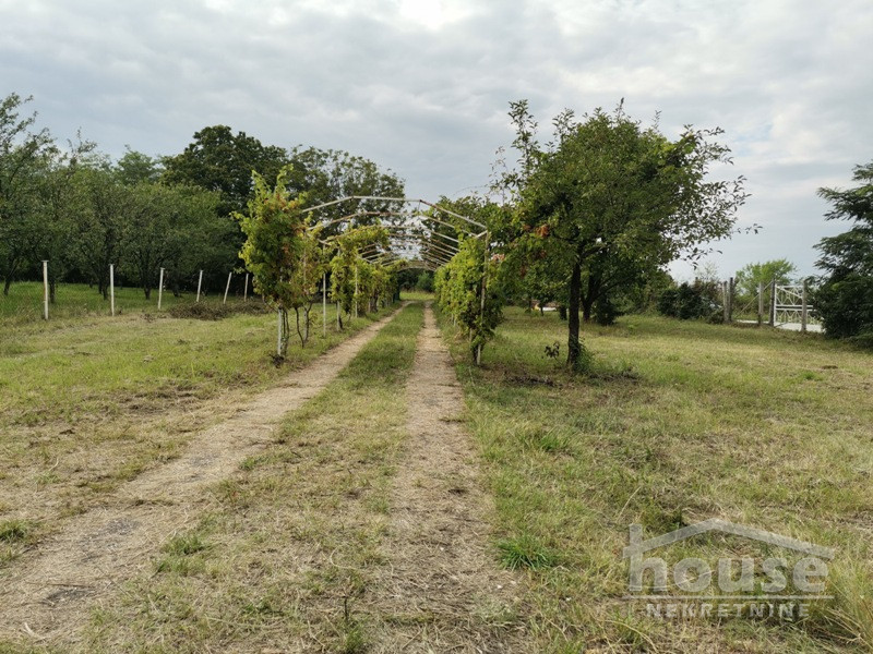 Kuca,ČORTANOVCI,ČORTANOVCI153m2,97850€ , ID: 3045118 38