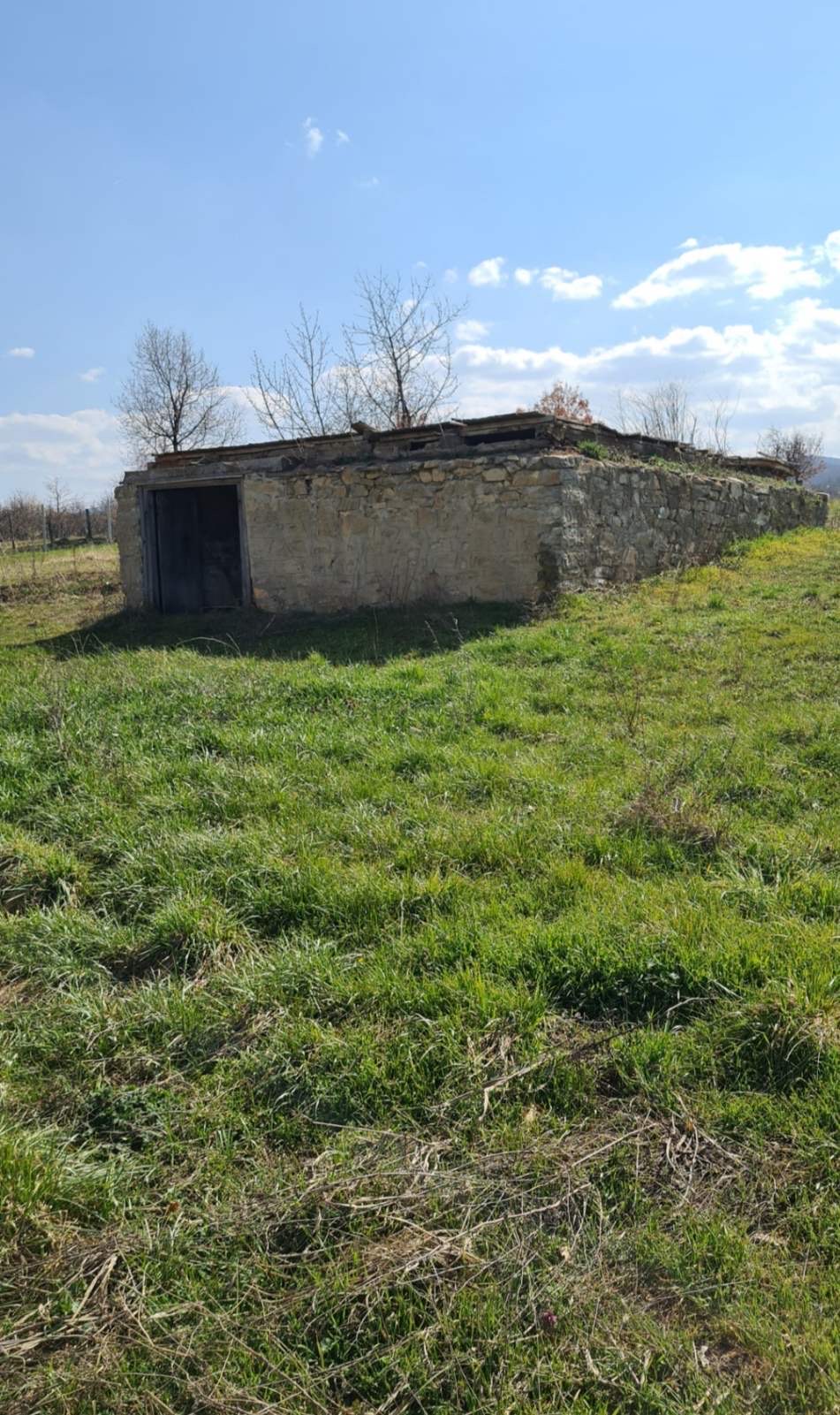 Plac Blaznava Topola 2