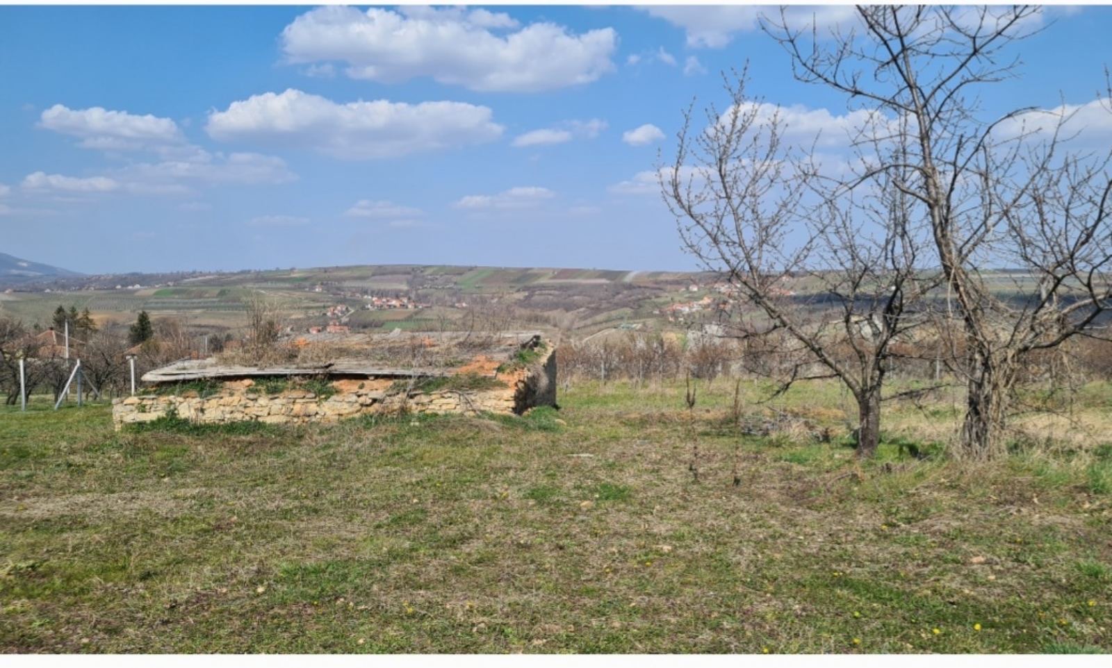 Plac Blaznava Topola 3