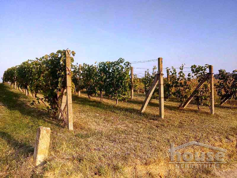 Plac,RAKOVAC,SALAKSIJE2139m2,  51500€ , ID: 7080839 8