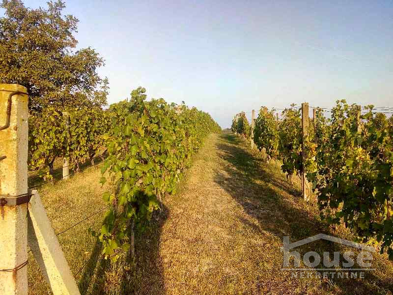 Plac,RAKOVAC,SALAKSIJE2139m2,  51500€ , ID: 7080839 2