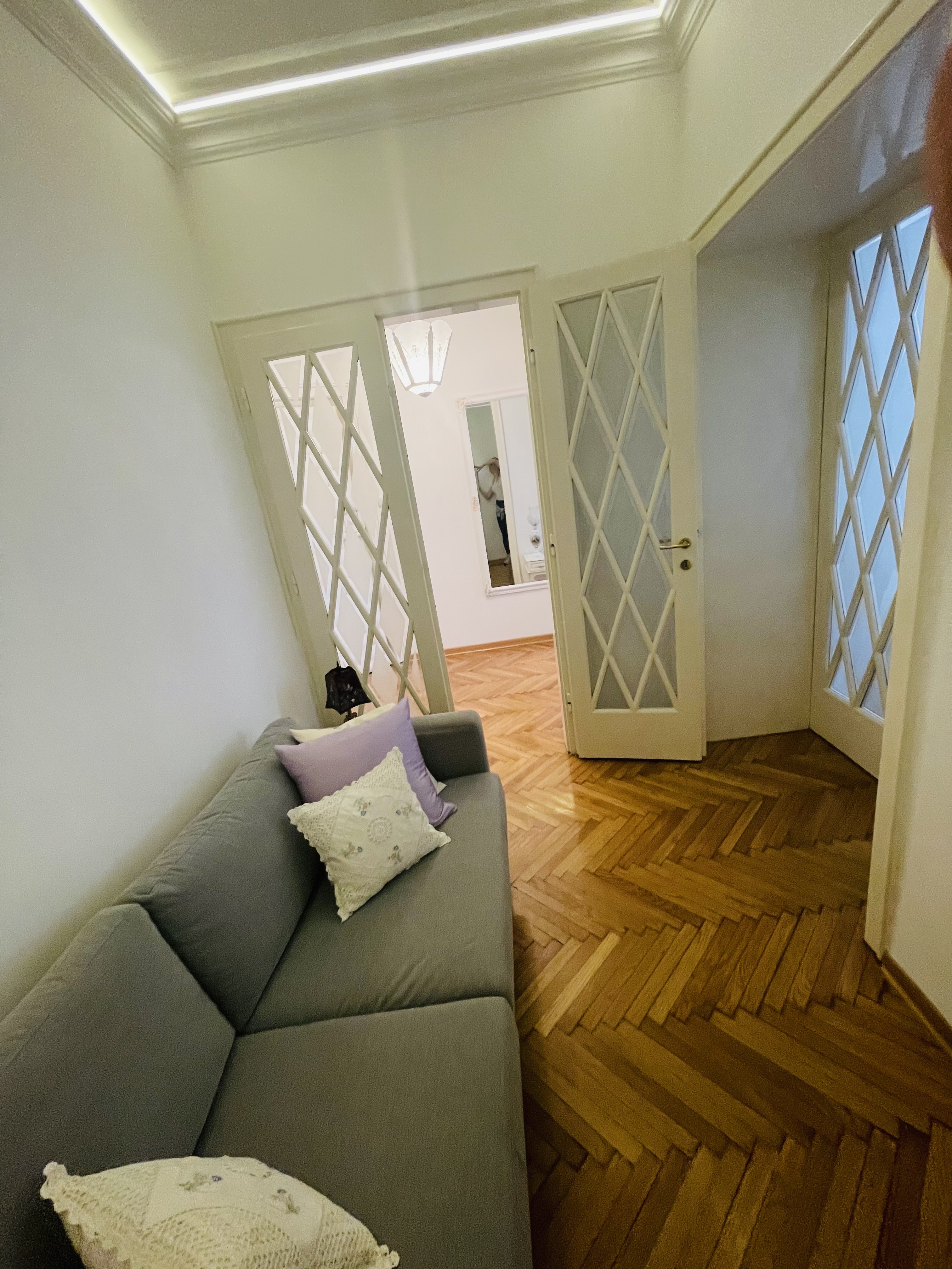 Lux salonski stan Centar Vračar 4