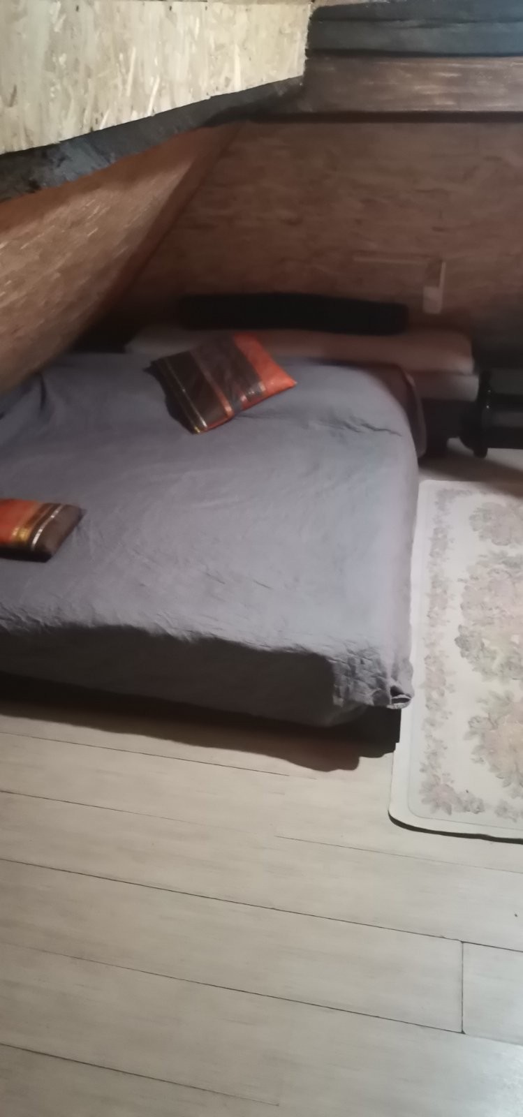 Kuca kljuc u ruke sa plantazom borovnice 3