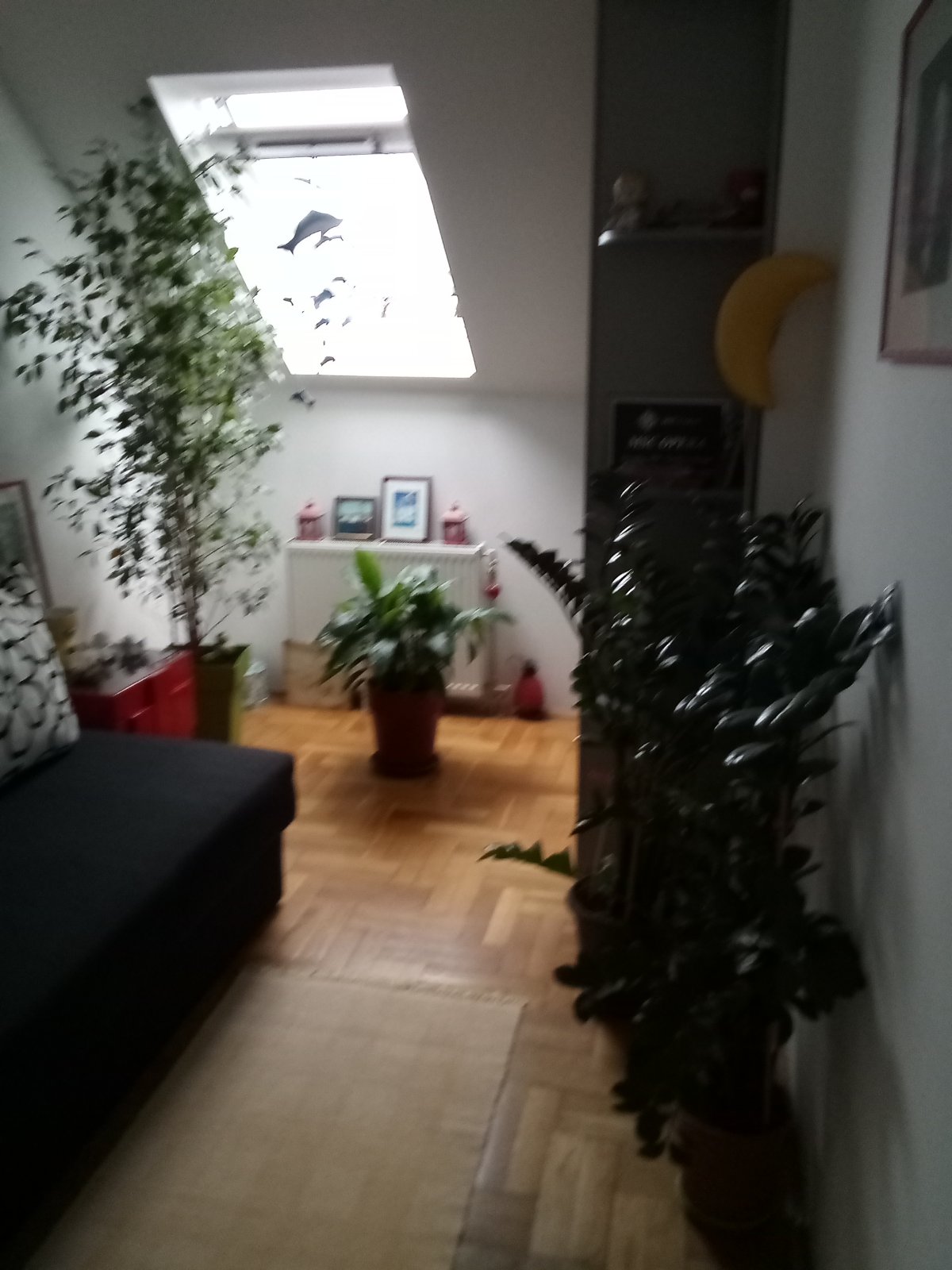 Prodajem stan u Krusevcu 5