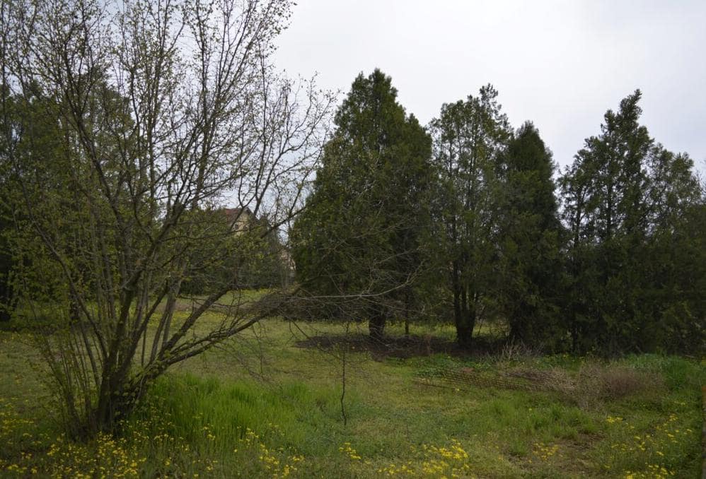 Hitno Kuća za prodaju sa velikim placem 2