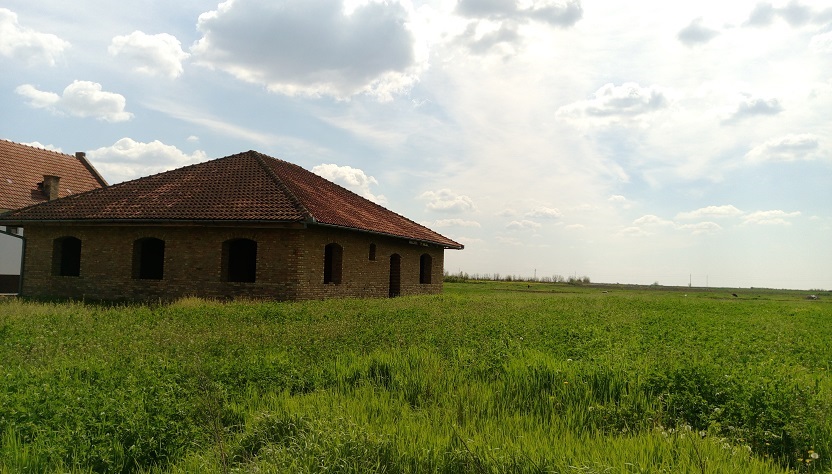 Prodajem kucu u blizni Zrenjanina 1