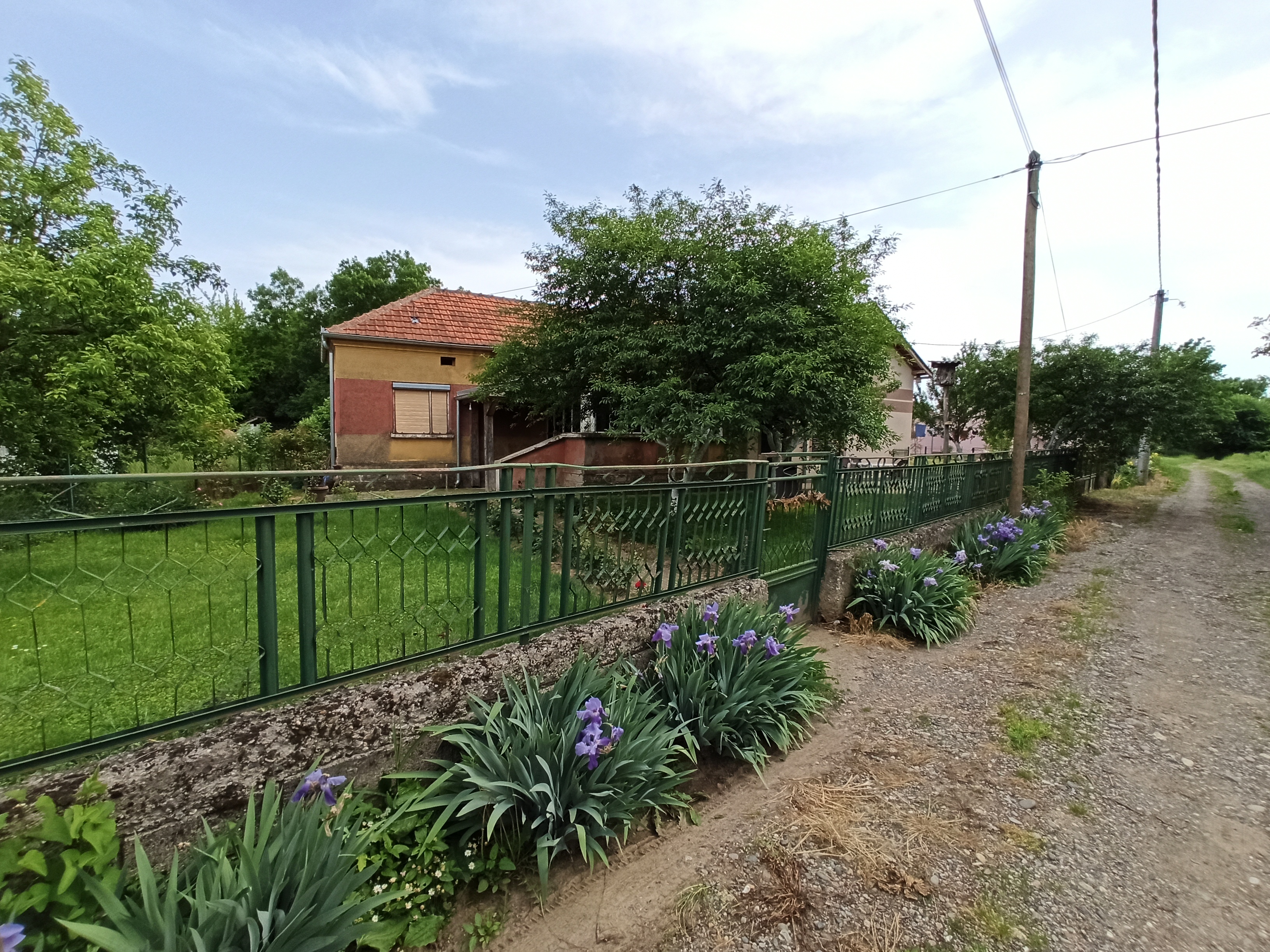 Kuća u Bresnom Polju  opština Trstenik 3