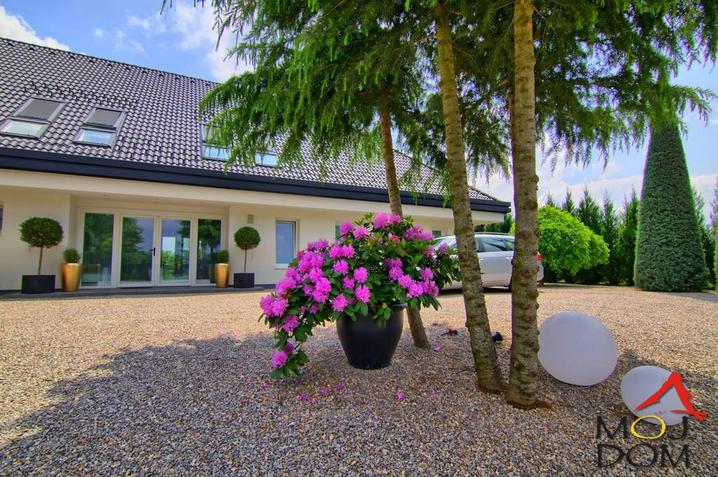 Kuca,PETROVARADIN,PETROVARADIN,kv: 566, € 1300000, ID: 3003486 9