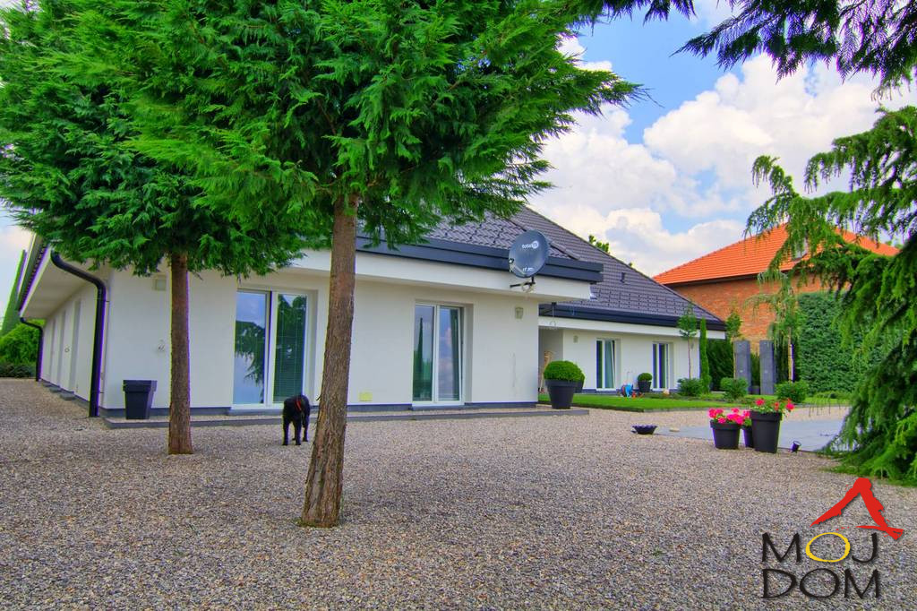 Kuca,PETROVARADIN,PETROVARADIN,kv: 566, € 1300000, ID: 3003486 15