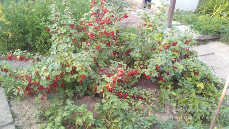 Kuca,ČORTANOVCI,ČORTANOVCI126m2,156000€ , ID: 3045743 32