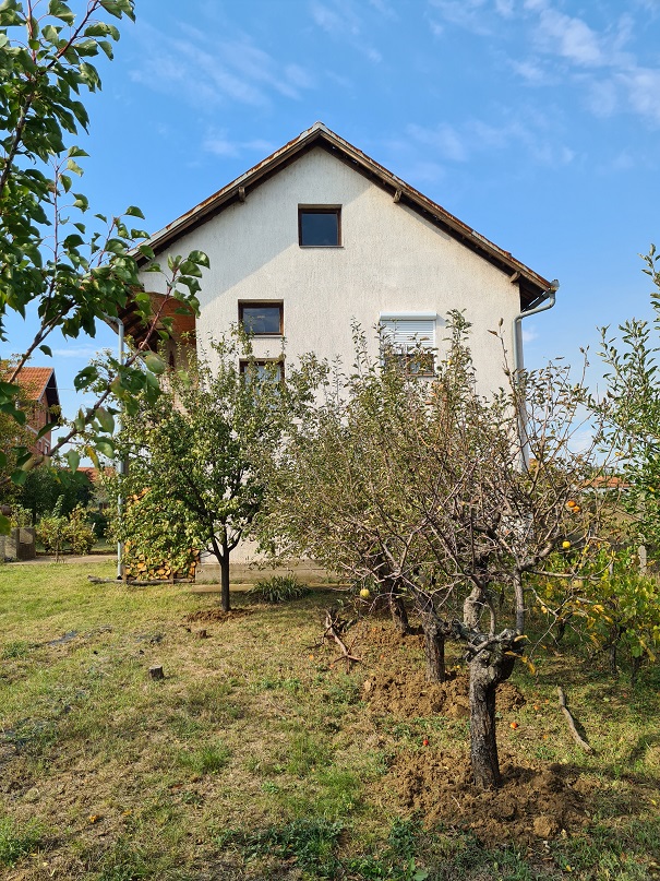 Prodaje se kuca u Smederevu 2